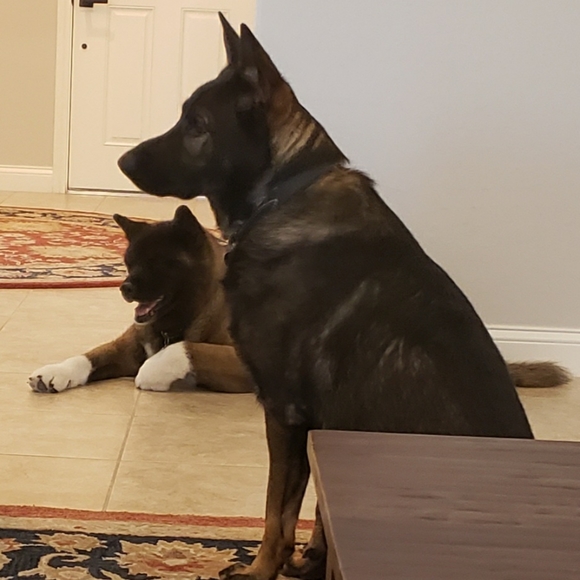 Meet your Posher, Diane - Picture 4 of 6